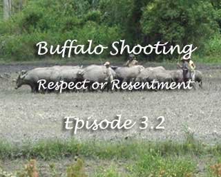 Buffalo Shooting