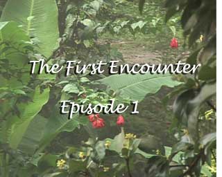 The First Encounter - Episode 1